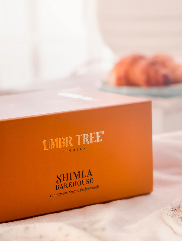 utsbhrc2554_2d48ba75-113c-4e1b-a67e-372819f3f9e9-4x