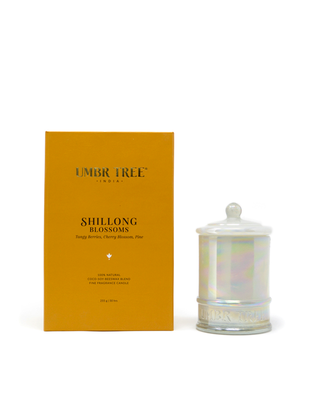 Shillong Blossoms Fine Fragrance Candle, Natural Air Purifier, Toxin Free,  255g, 50hrs