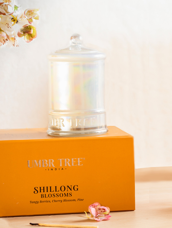 utsbrc2554_fa3a51e4-63a0-4e48-a143-2c66599f5a35-4x